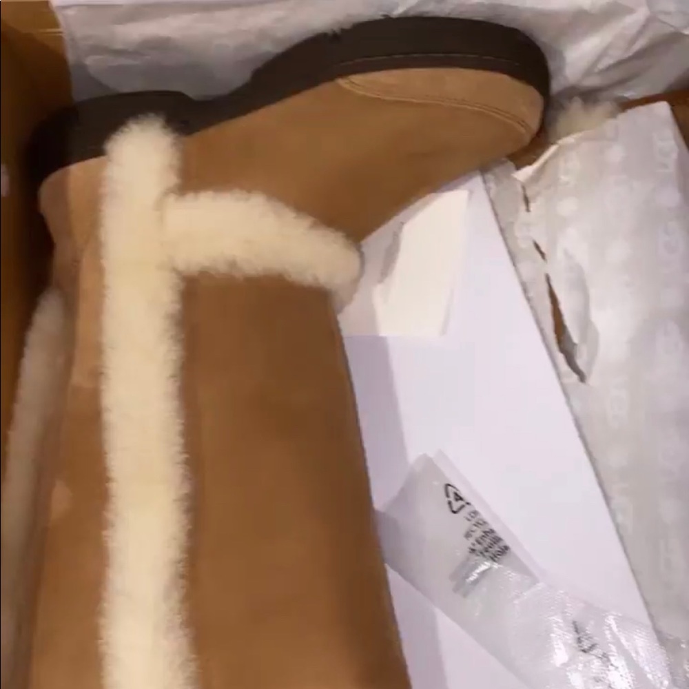 Sunburst uggs